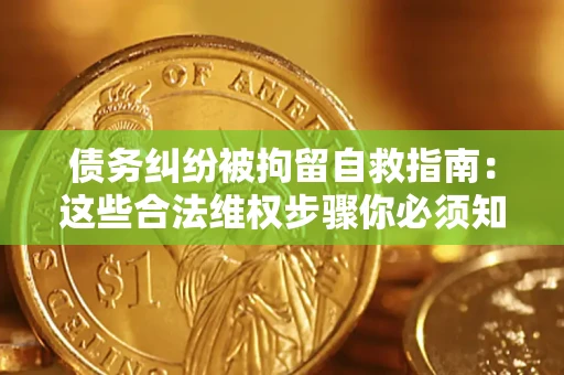 北京债务纠纷被拘留自救指南：这些合法维权步骤你必须知道！