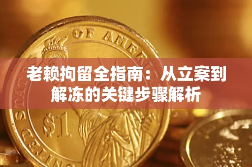 北京老赖拘留全指南：从立案到解冻的关键步骤解析