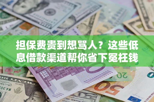 北京担保费贵到想骂人？这些低息借款渠道帮你省下冤枉钱