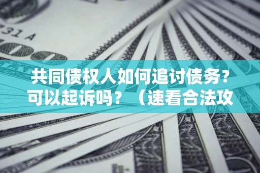北京共同债权人如何追讨债务？可以起诉吗？（速看合法攻略）